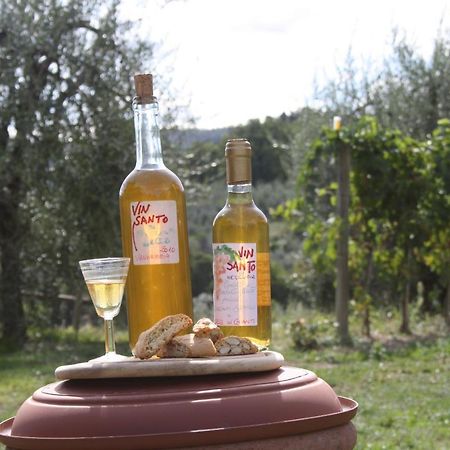 Agriturismo Podere Somigli Di Lorenzo Correani Hotel Greve in Chianti Kültér fotó