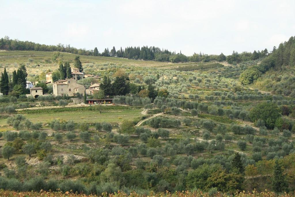 Agriturismo Podere Somigli Di Lorenzo Correani Hotel Greve in Chianti Kültér fotó