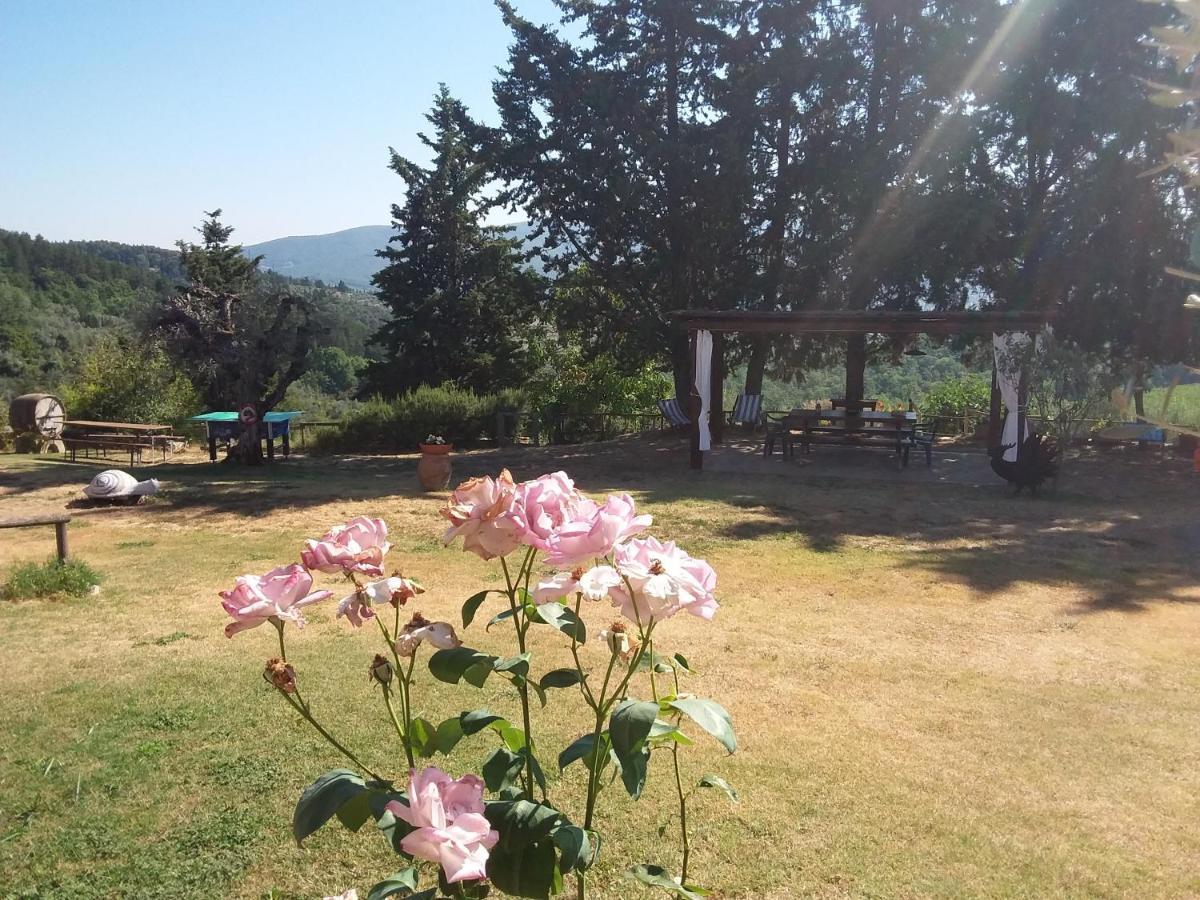 Agriturismo Podere Somigli Di Lorenzo Correani Hotel Greve in Chianti Kültér fotó