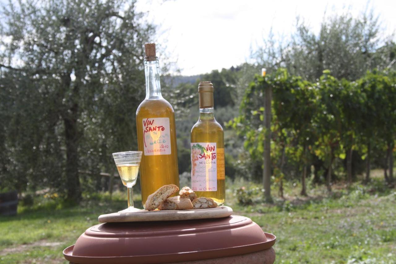 Agriturismo Podere Somigli Di Lorenzo Correani Hotel Greve in Chianti Kültér fotó